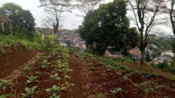 Tanah SHM View Bandung Di Sindanglaya Pasir Impun