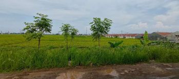 Dijual Tanah SHM Luas 5.400m²