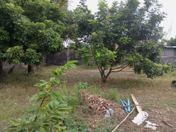 Tanah Kodya di Tegalrejo, Barat Tugu Jogja