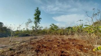 Dijual tanah Kawasan tenang