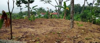 Lahan murah view bagus