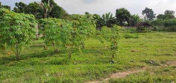 Dijual Tanah Cantik Lokasi Strategis Suasana Asri dan Harga Murah