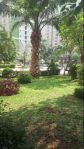 thumbnail-disewakan-apartemen-green-palace-studio-tower-palem-full-furnish-murah-6