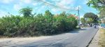 thumbnail-land-sale-tanah-di-main-road-sempol-pererenan-canggu-9