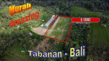 View Sawah, Kebun Dan Gunung 6,100 M2 di Pupuan Tabanan