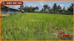 thumbnail-view-sawah-kebun-dan-gunung-6100-m2-di-pupuan-tabanan-4