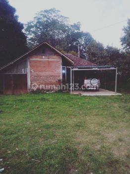 Hot List Di Jual Tanah Bonus Bangunan Lokasi Belimbing Pupuan Tabanan