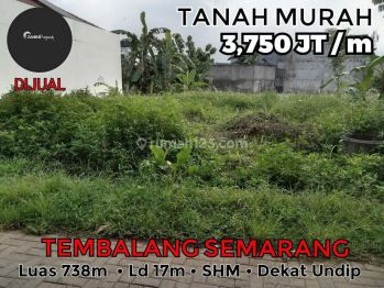 Tanah Murah Tembalang Dibawah Harga Pasaran