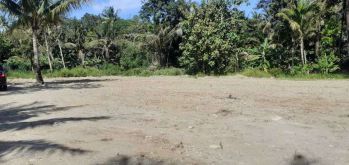 Jual Tanah Dekat Bandara YIA, Tanah Pengasih di Jl.KH Ahmad Dahlan