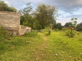 Cocok Homestay di Mertoyudan Magelang, SHM Pekarangan