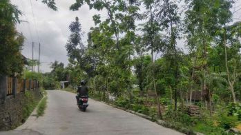 Tanah Murah di Ambarketawang Jogja untuk Hunian