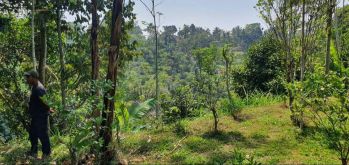 Dijual Tanah lembah Hijau Ubud