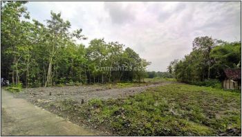 1 Jtan, SHM Pekarangan Ready, Cocok Imvest Pun Huni