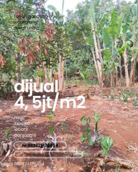 tanah/kapling siap bangun kos tembalang