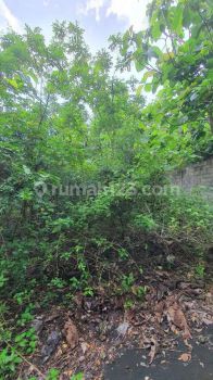 Hot List Di Jual Tanah Lokasi Pecatu Kuta Selatan Badung