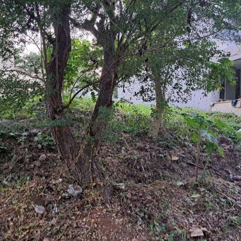 Kavling Bagus Depan Taman di Tman Simprug Cikarang