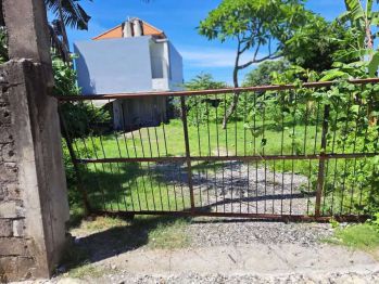 Dijual tanah 2,5 are di sidakarya Denpasar selatan bali