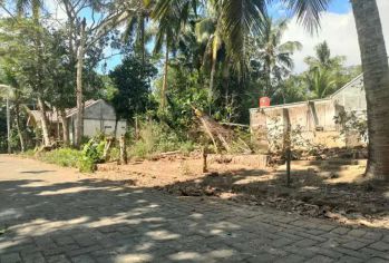 Tanah murah banget di Minggir, selatan Exit Tol Banyurejo Tempel