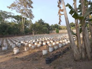 Disewakan tanah Utara Jogja bay maguwoharjo sleman