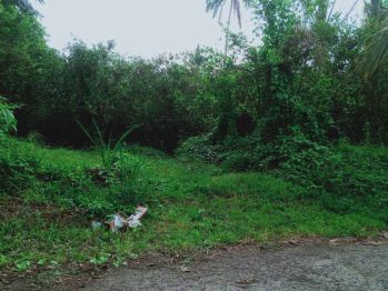 Dijual CEPAT Tanah 50are, area perbukitan hijau yang tenang