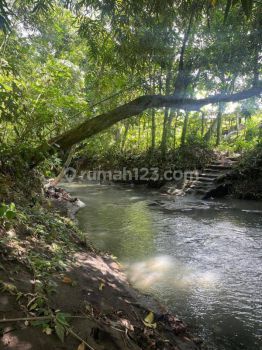 Tanah Los sungai super langka siap Bangun Di Buwit  kaba kaba Tabanan Bali