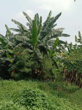 Di jual tanah di tepi jalan raya utama jatimakmur pondok gede