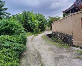 Tanah Petitenget Kerobokan Badung Bali
