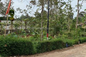 Tanah Kalongan Ungaran Timur 6 Menit Alun alun Bung Karno