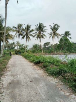 Di jual tanah shm pekarangan di jln kaliurang km 10