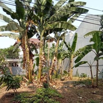 Dijual Tanah biliymoon Pondok kelapa Jakarta timur