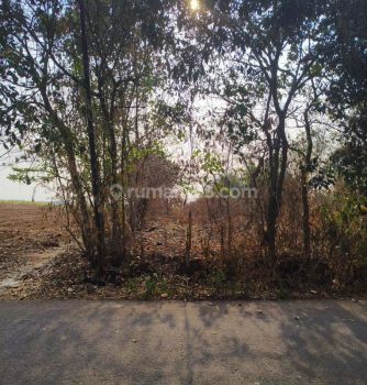 Tanah Harga Murah Di Pasir Kembang Kec. Maja