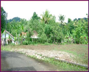 Tanah Dijual Jogja di Jl. Jejeran-Pleret Dekat Polsek Imogiri
