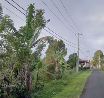 Tanah view gunung dan lembah di Wanagiri Singaraja Bali