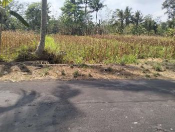 Disewakan tanah murah bisa 20 tahun jl kaliurang km 12 mrisen ngaglik