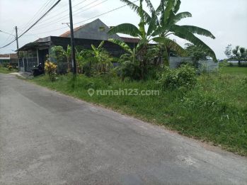 Jual Cepat, Tanah Selangkah Smp Berbah, Cocok Hunian