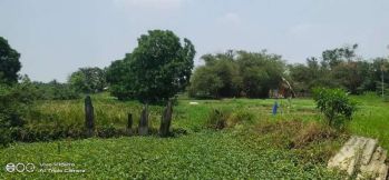 Di jual tanah zona kuning untuk Cluster di kp sukaraya cikarang utara