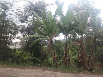 Tanah murah pinggir jalan Akses 2 MOBIL di cimenyan buat perumahan