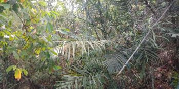 L-291 GREAT INVESTMENT RIVER VIEW IN TABANAN, BEACH 4.7KM