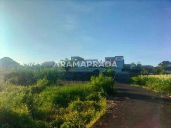 Dijual Tanah 34 Are Kawasan Villa Bisa Beli 5 Are Padang Galak Dentim