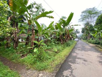 Dijual Tanah Luas 237m2 Lokasi Pernasidi Cilongok