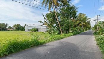 Murah, 4 Jutaan Prospek Kost, 600 Meter Kampus Umy