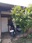 thumbnail-sewa-tempat-usaha-sekaligus-rumah-tahunan-4