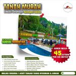 thumbnail-dijual-tanah-villa-kebun-dibogor-perizinan-lengkap-8