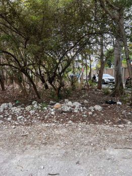 FOR SALE TANAH JALAN UTAMA BLONG KEKER JIMBARAN