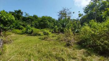 300m2 shm lokasi pecatu bali