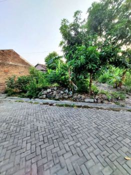 TANAH BAGUS STRATEGIS Pedurungan Kidul Dekat Jalan Raya