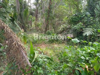 TANAH PEKARANGAN SELUAS 1293M² DI PAKEM