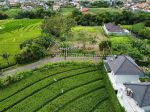 thumbnail-tanah-view-sawah-di-pererenan-canggu-cocok-untuk-villa-1