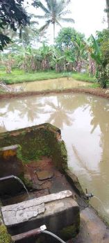 Kolam ikan & Tanah Lt 248m² Di Nangewer ,darangdan