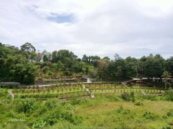 Tanah kontur murah strategis di puncak bogor cocok untuk rumah hunian